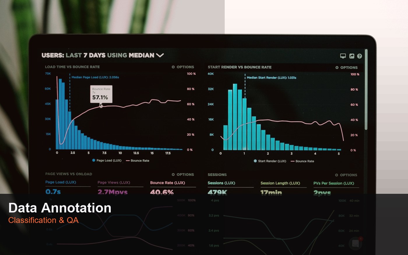 Data Annotation and Classification